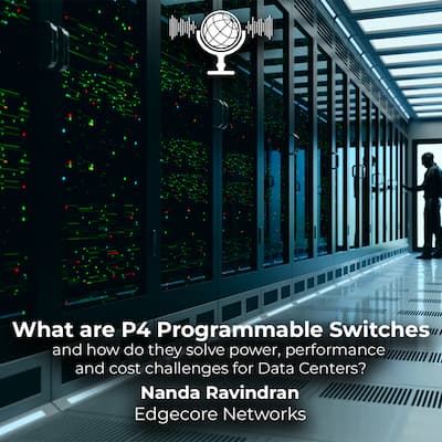 What are P4 Programmable Switches and how do they benefit Data Centers?